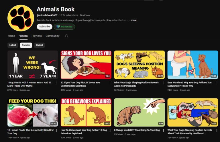 Animals Book