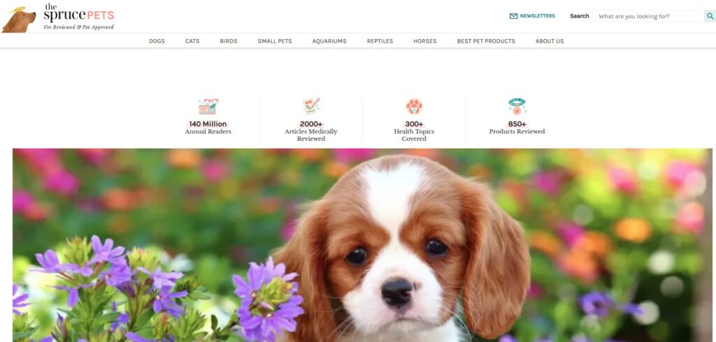 TheSprucePets.com - WordPress Project by Shahzeb Speaks